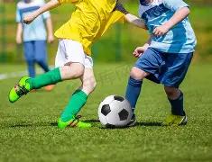 威少,篮球激情无,法被冠军或,新葡京,新葡京app,新葡京娱乐,新普京赌场