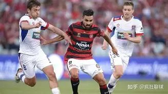 沙特队海湾,杯败北,教练受指责,新葡京,新葡京app,新葡京娱乐,新普京赌场