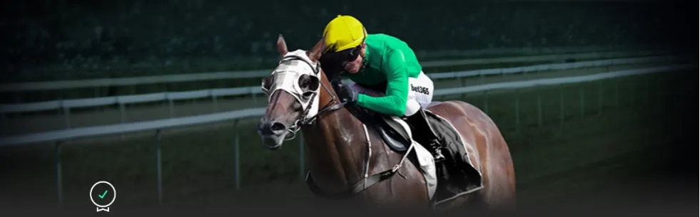 背靠背阳光,双赛八强挑,战几何,新葡京,新葡京app,新葡京娱乐,新普京赌场